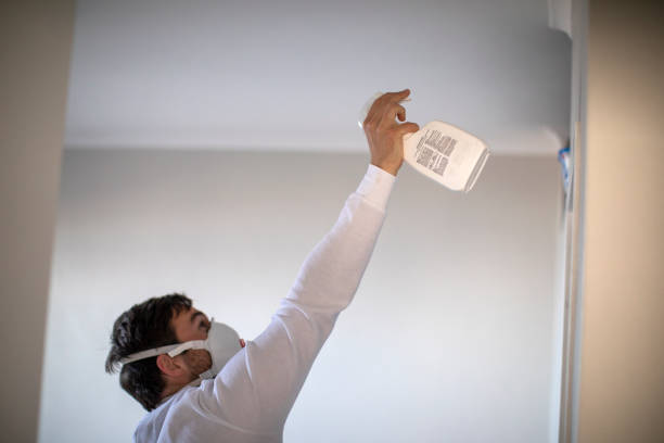 Best Attic Mold Removal  in Waupaca, WI