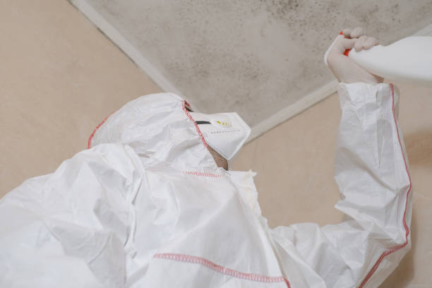 Best Mold Cleaning Services  in Waupaca, WI