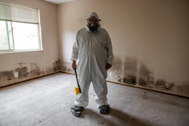 Best Crawl Space Mold Removal  in Waupaca, WI